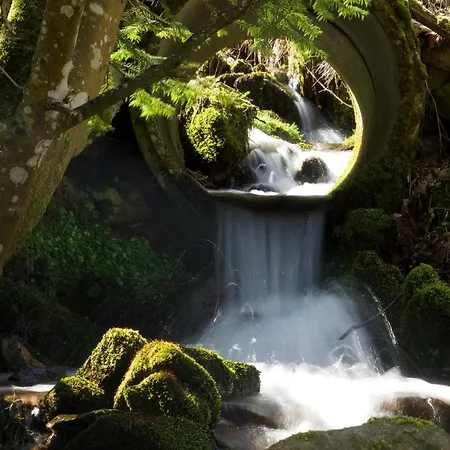 Hotel-pension- Waldeck