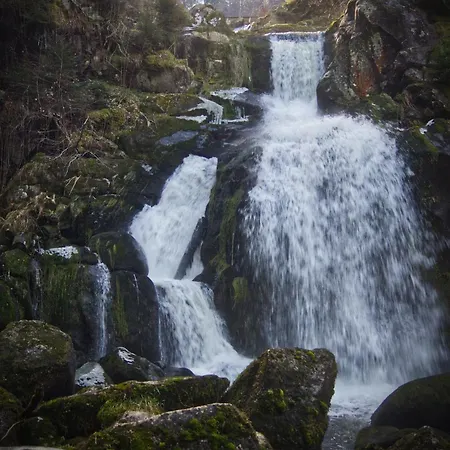Hotel-pension- Waldeck Szálloda 2*