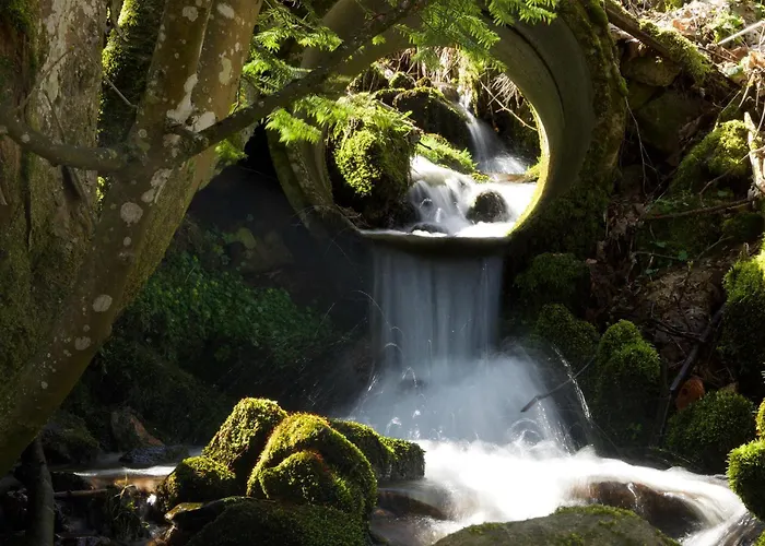 Hotel-pension- Waldeck